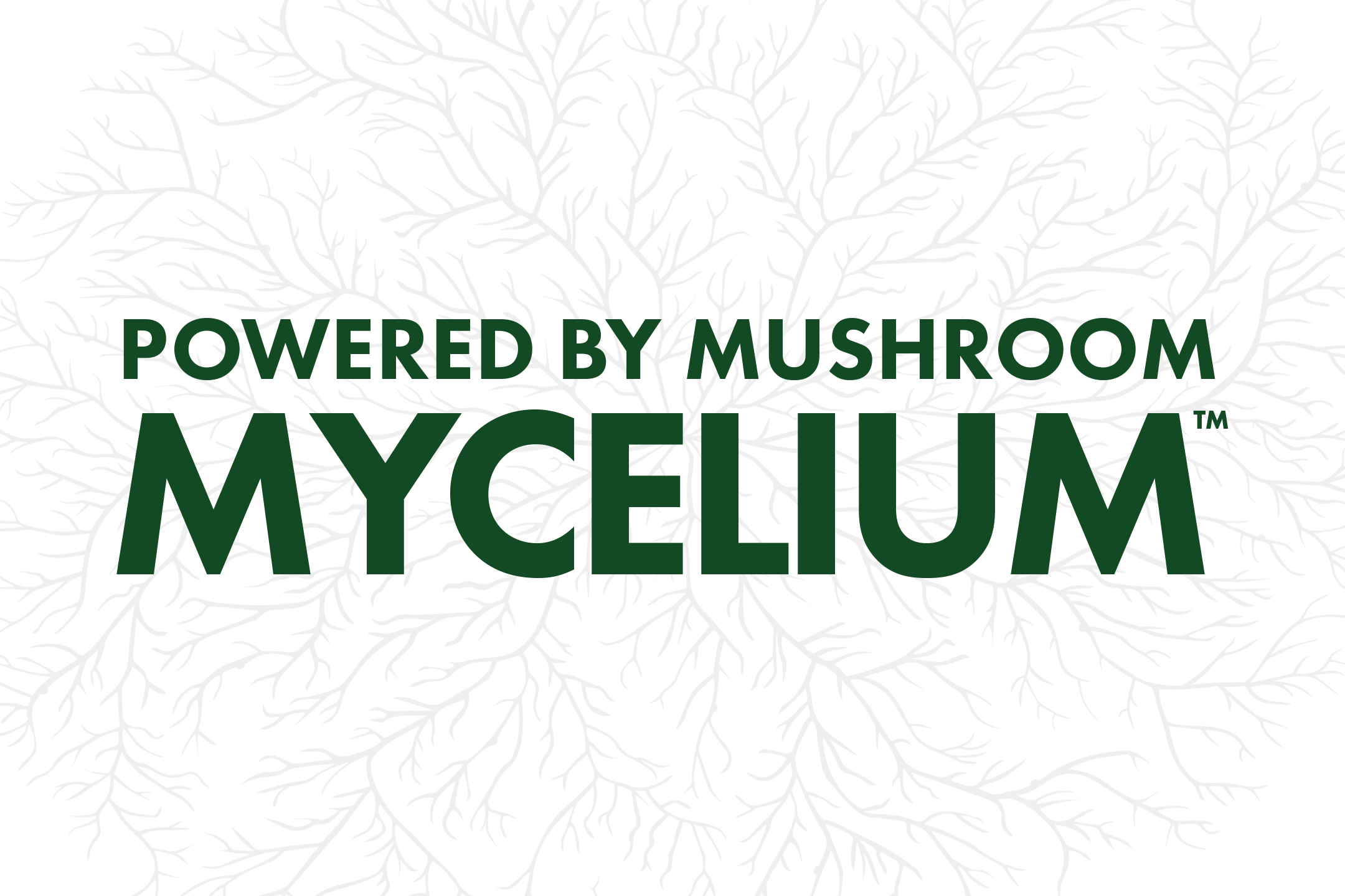 The Power of Mycelium: Innovative Use Cases and Applications