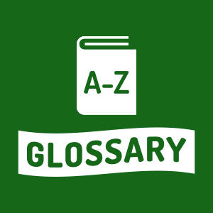 Glossary