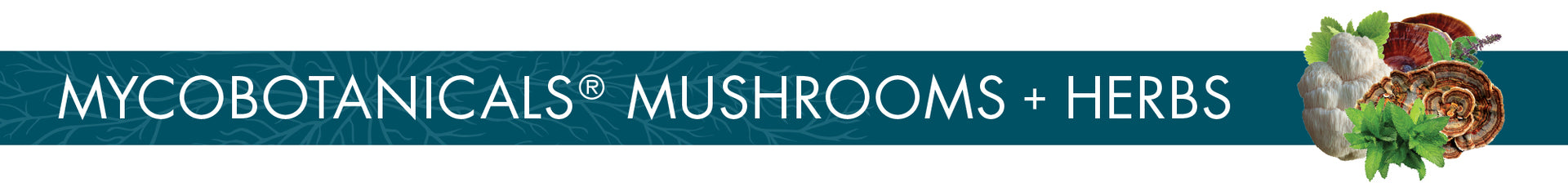 Organic Mushroom & Herb Supplements - MycoBotanicals are the Host Defense formulas featuring carefully-selected herbs to complement specific mushrooms for a powerful impact on targeted body systems.