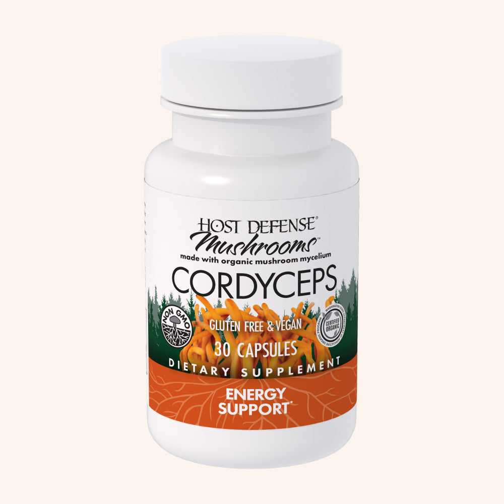 Cordyceps Capsules