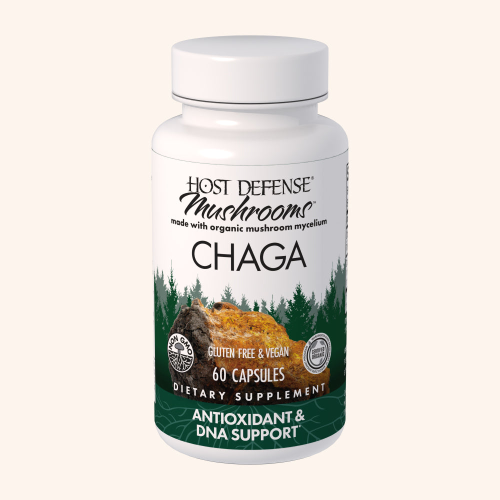 Chaga Capsules