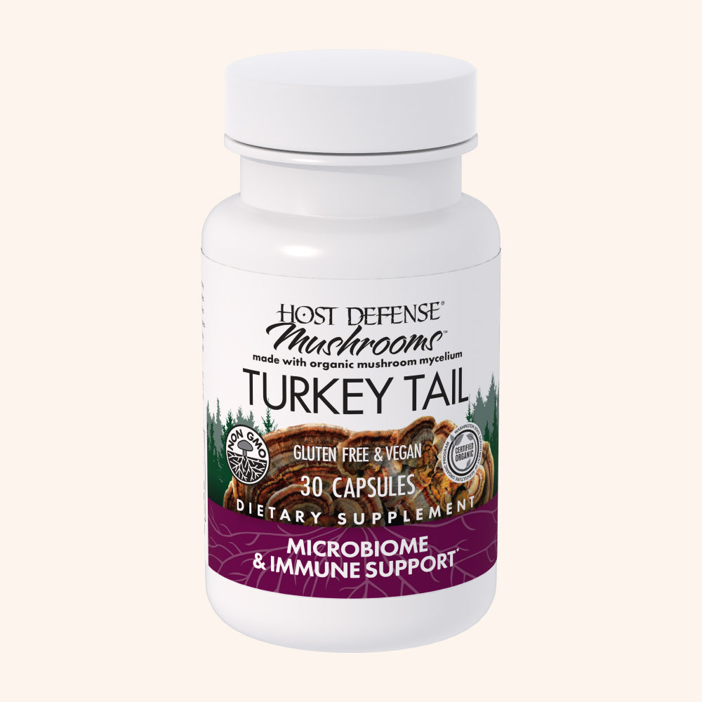 Turkey Tail Capsules