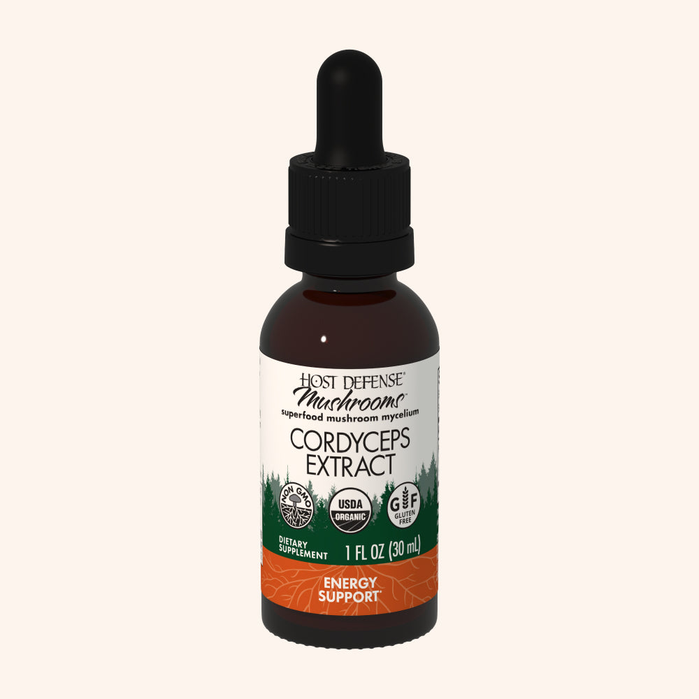 Cordyceps Extract