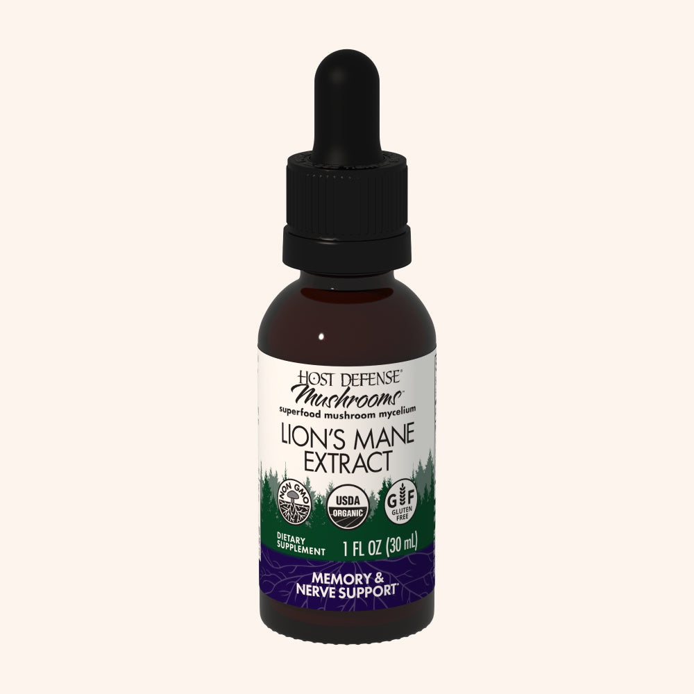 Lion's Mane Extract