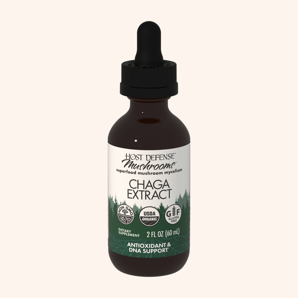 Chaga Extract