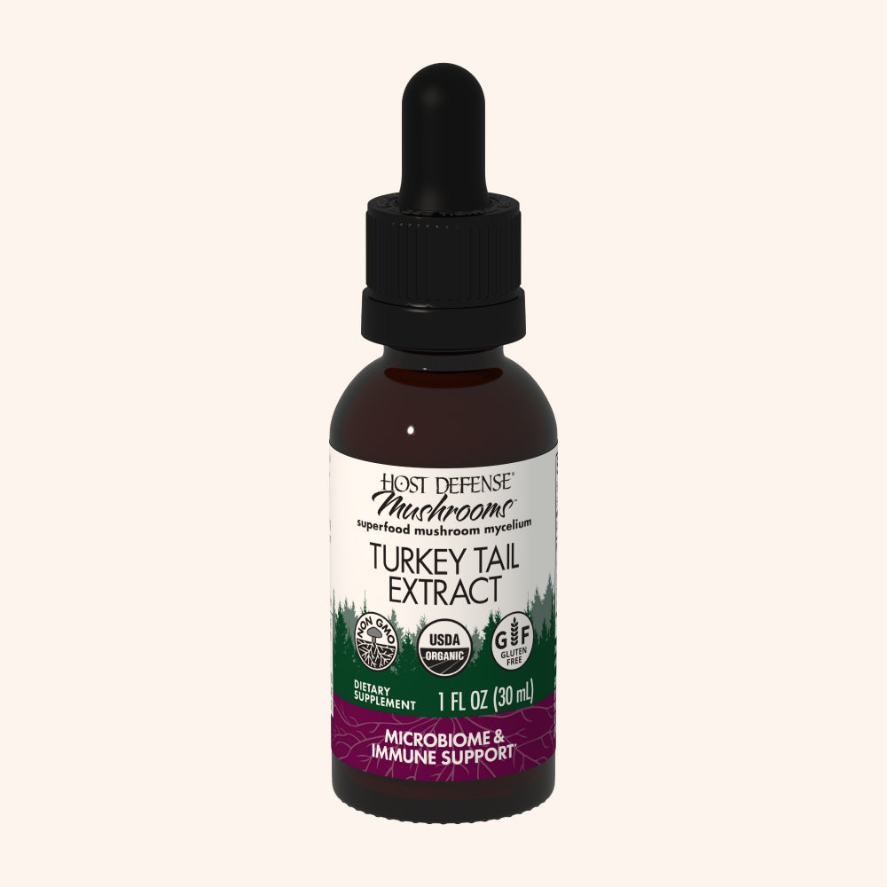 Turkey Tail Extract