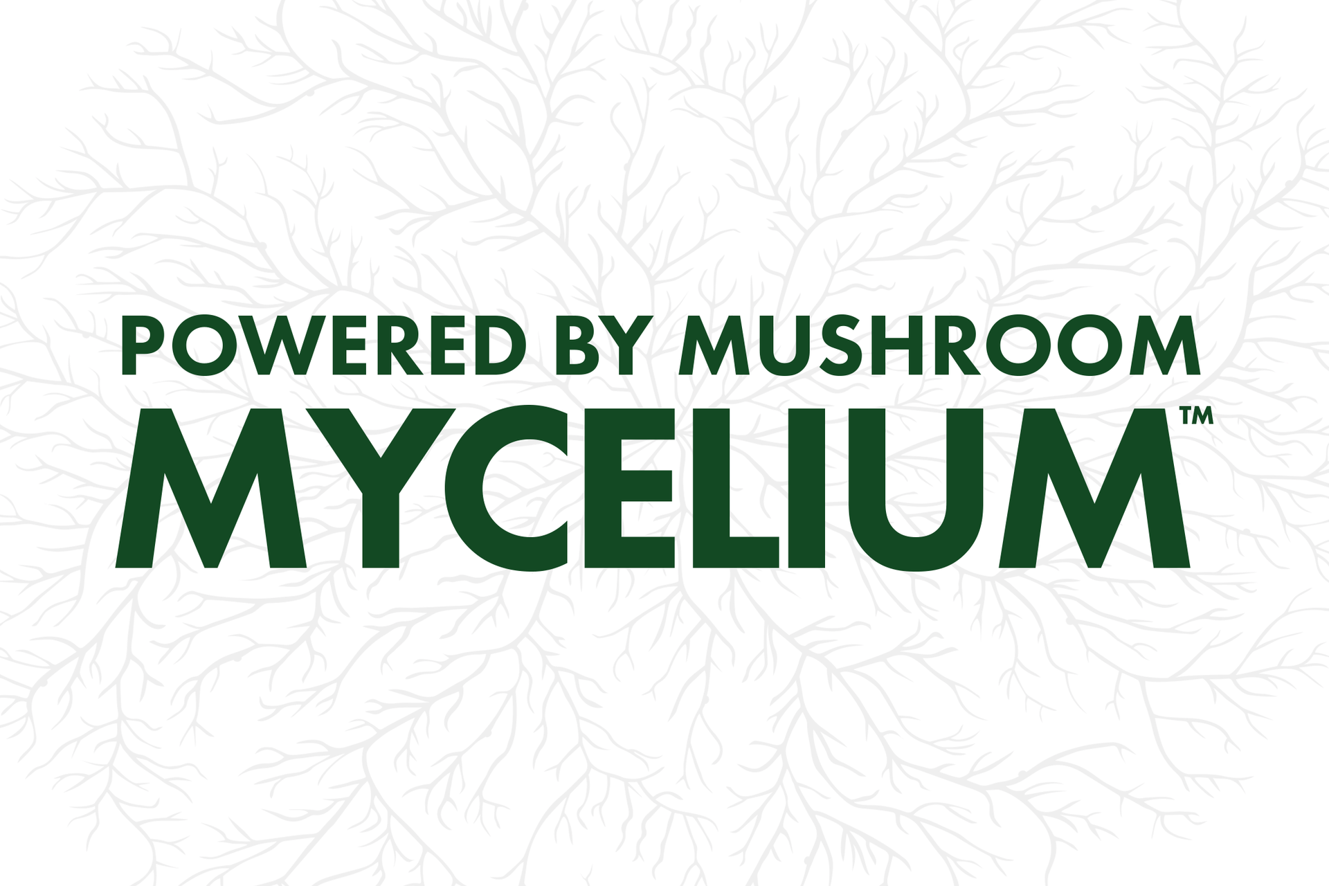 Why All Host Defense Supplements Are Powered by Mushroom Mycelium