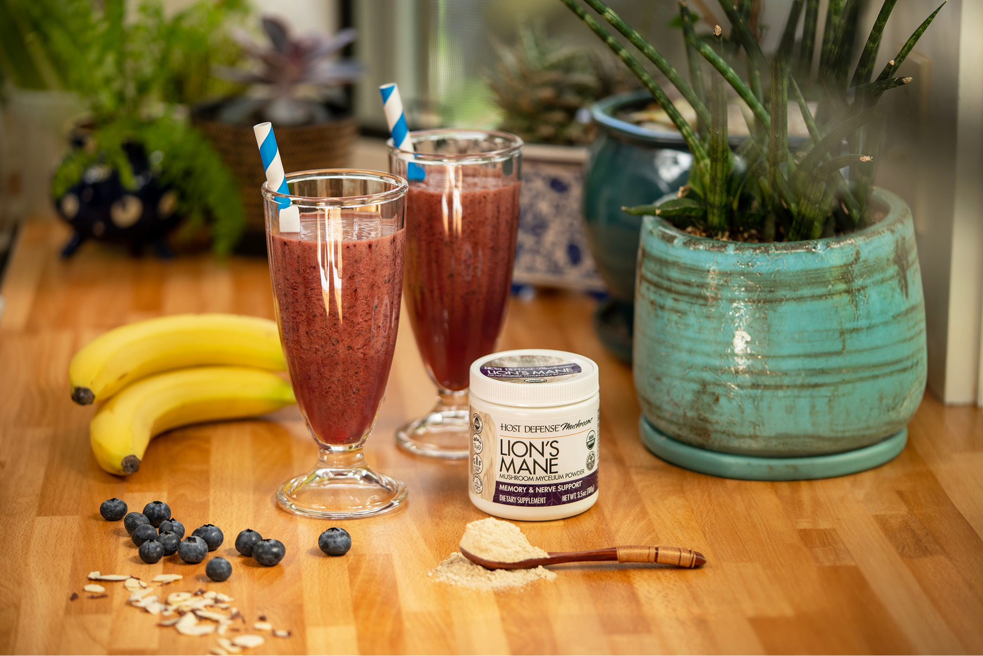 Paul Stamets' Signature Smoothie Recipe