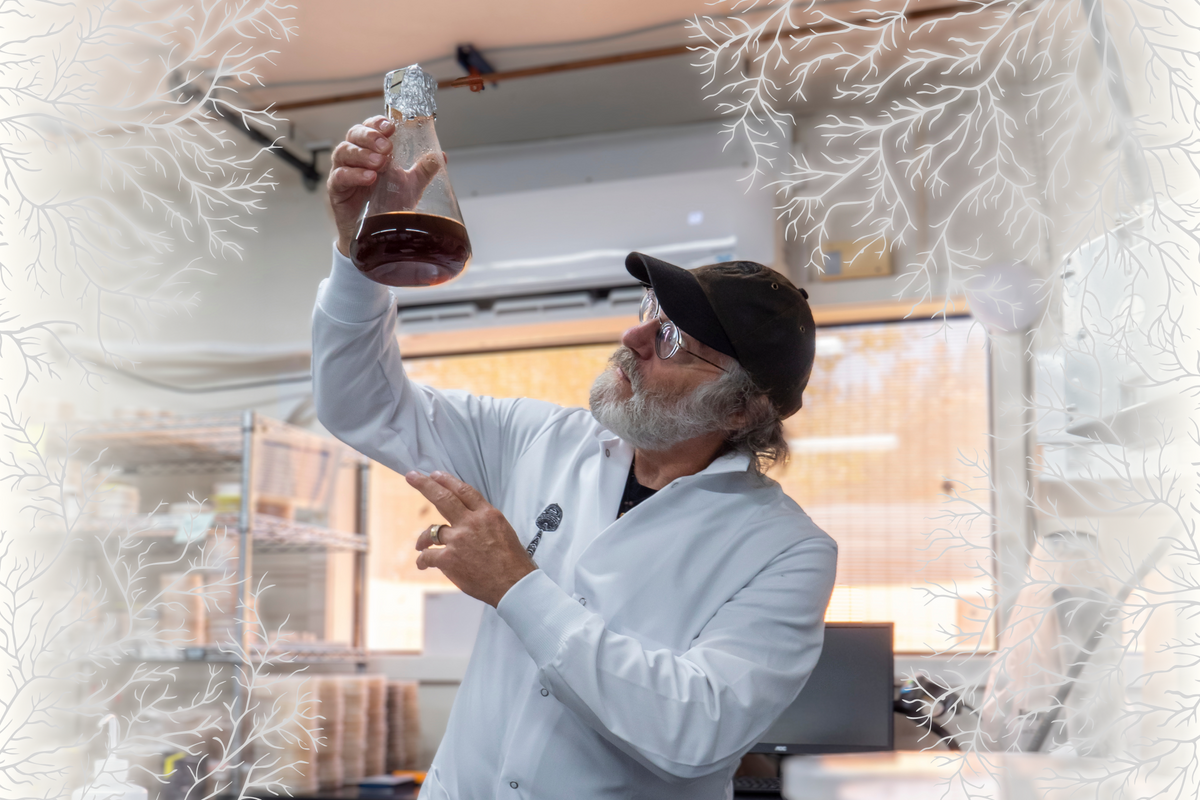 Paul Stamets in the research lab