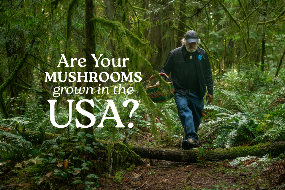 Are Your Mushrooms Grown in the USA?