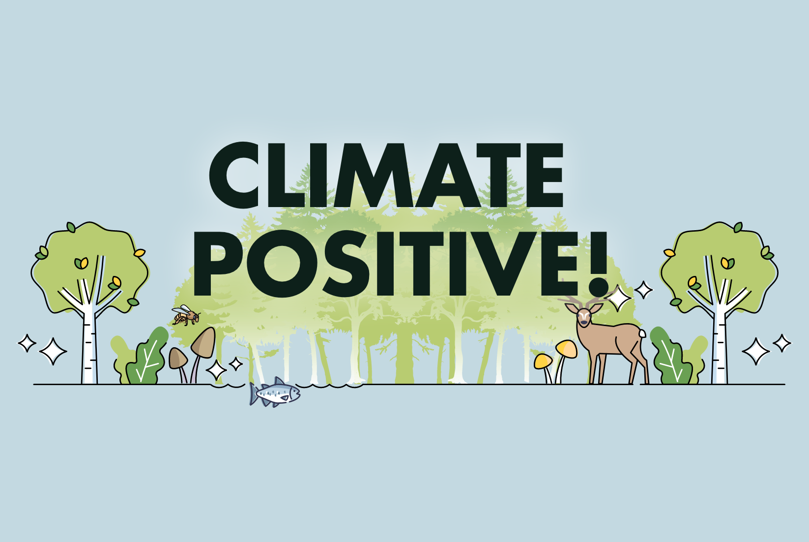 We're Climate Positive