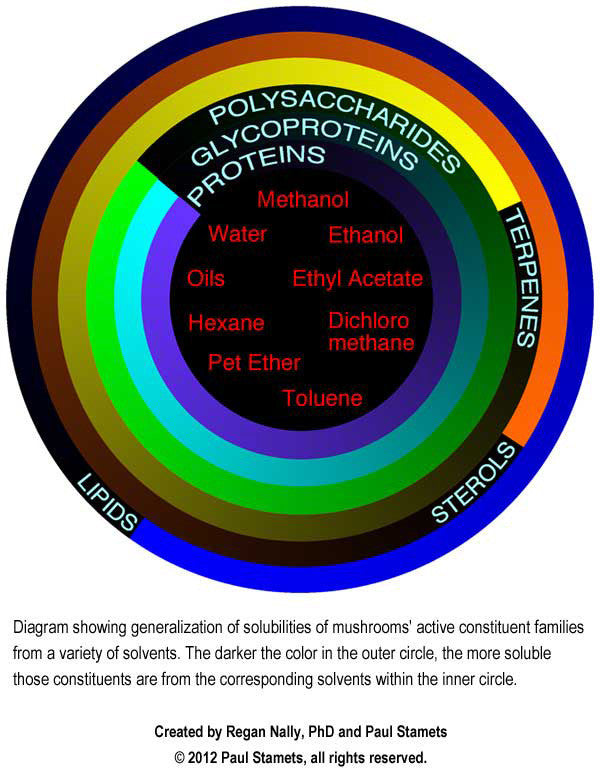 Seven Pillars of Immune Benefits from Mushrooms