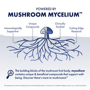 Host Defense® Immune Gummies - Strawberry, Powered by Mushroom Mycelium.
