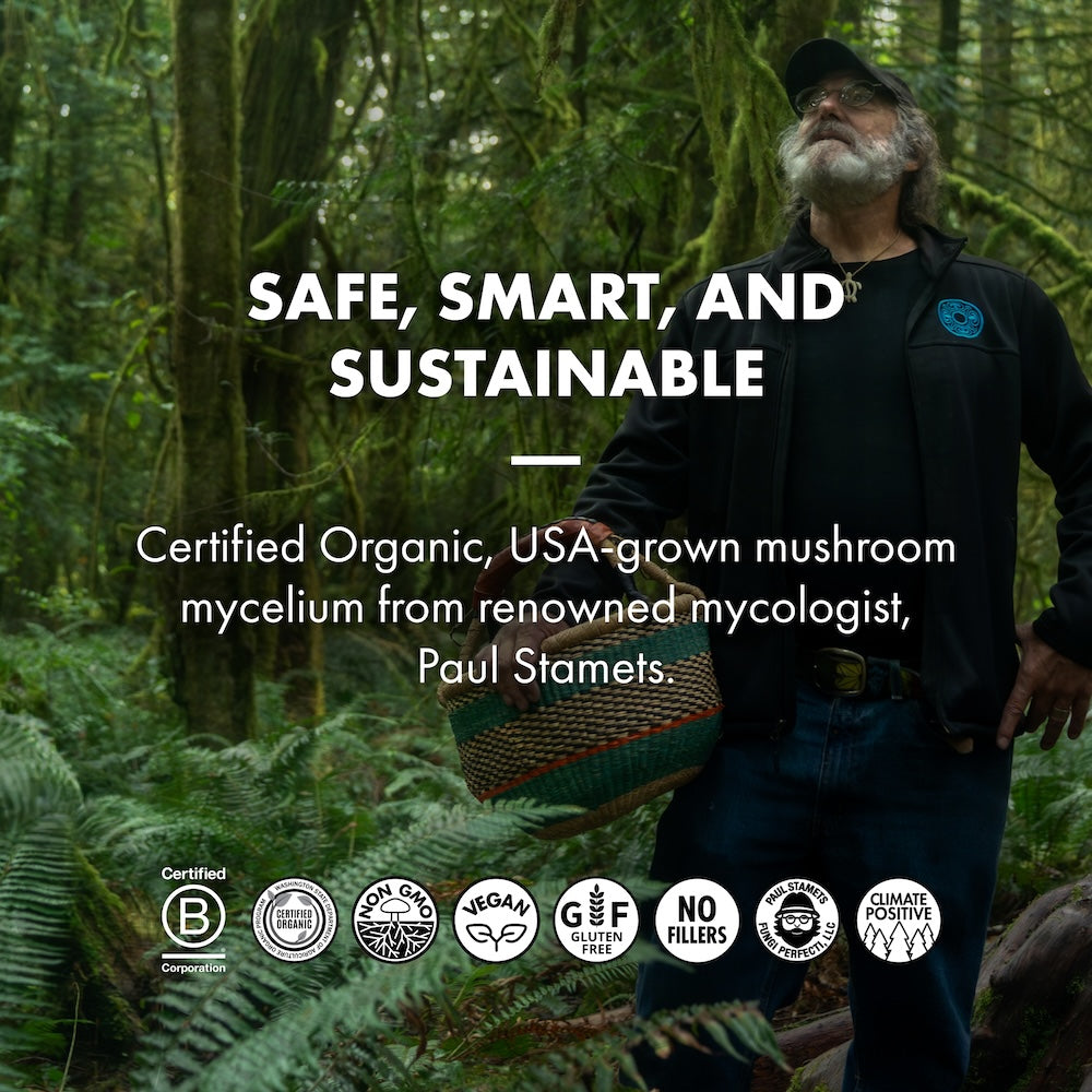 Lion's Mane capsules, 120-count bottle, Safe Smart and Sustainable.