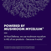 Lion's Mane capsules, 120-count bottle, Powered by Mushroom Mycelium.