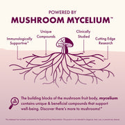 Diagram of mushroom mycelium with text highlighting its properties on a pink background