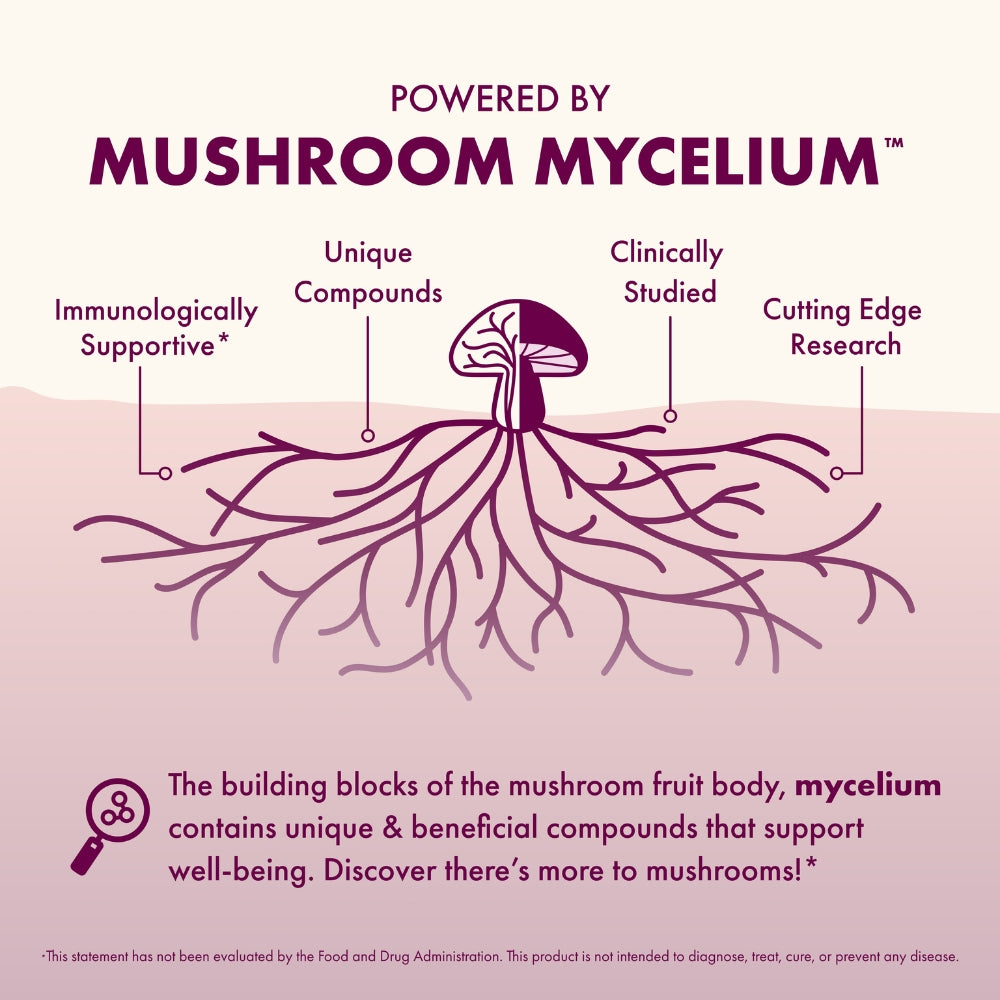 Diagram of mushroom mycelium with text highlighting its properties on a pink background