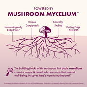 Diagram of mushroom mycelium with text highlighting its properties on a pink background