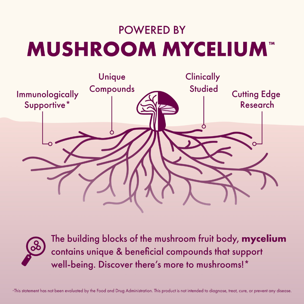 Diagram of mushroom mycelium with text highlighting its properties on a pink background