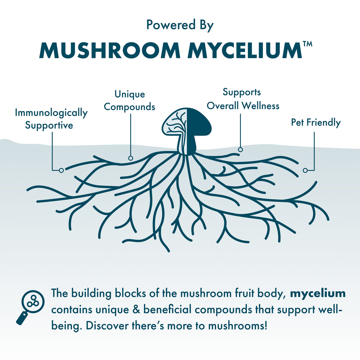 An informational graphic about mushroom mycelium, with a stylized mushroom illustration, roots, and text calling out benefits such as immunologically supportive, unique compounds, overall wellness support, and pet friendliness.