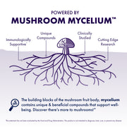 Host Defense® Lion’s Mane Gummies
 - Blueberry, Powered by Mushroom Mycelium.