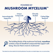 Grateful Dead Gummies - Beary Well,  90-count bag, Powered by Mushroom Mycelium.