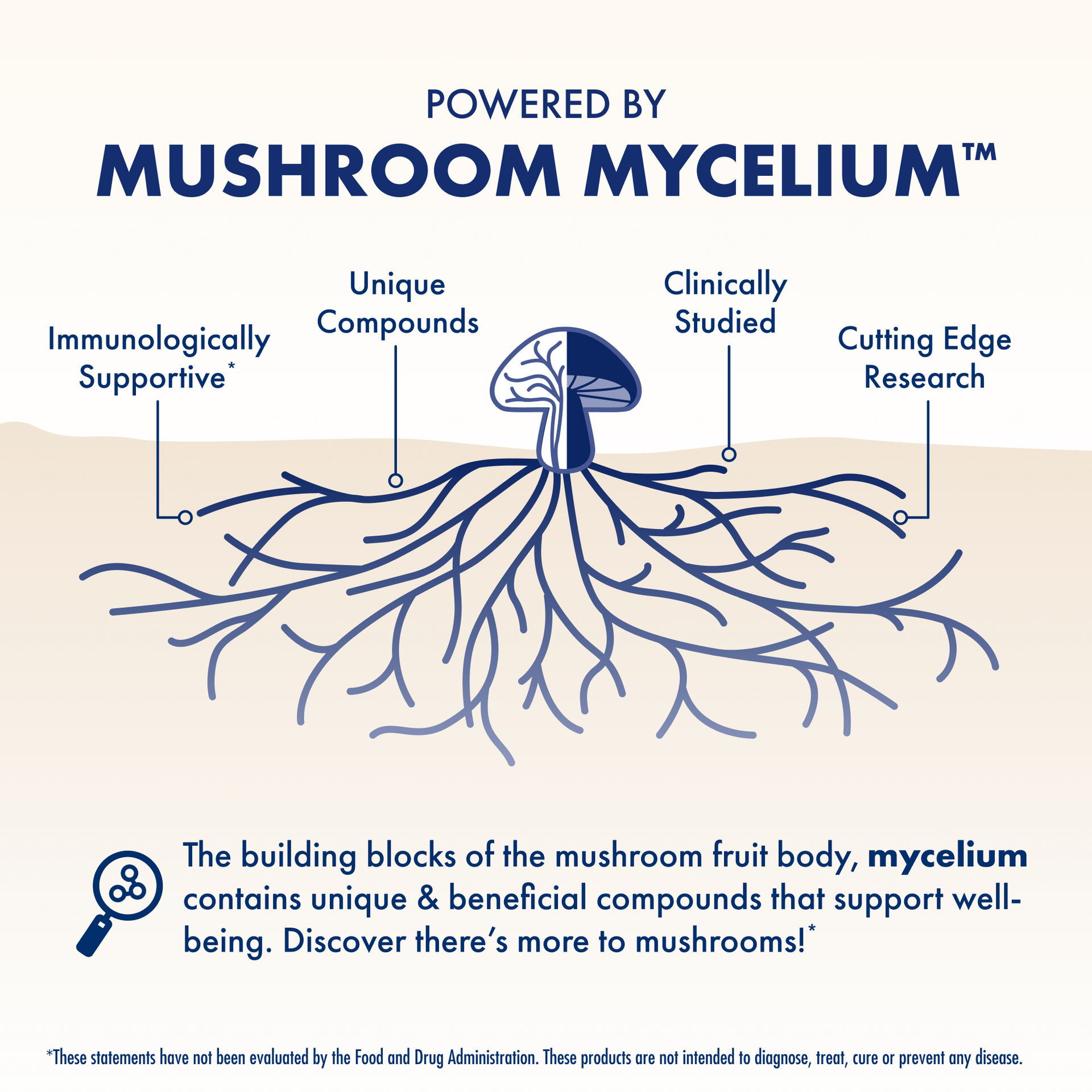 Grateful Dead Gummies - Beary Well,  90-count bag, Powered by Mushroom Mycelium.