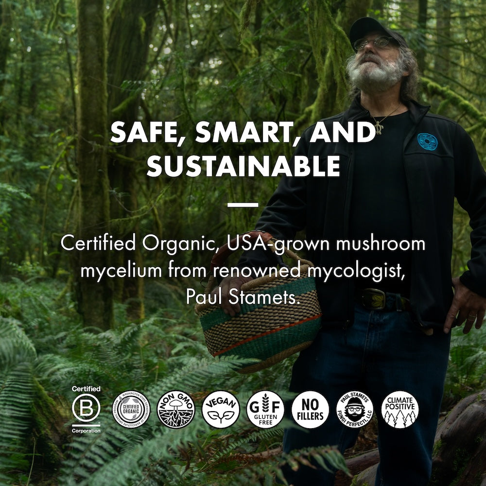 MycoBrew Cocoa, Three 5 oz boxes, Safe Smart and Sustainable.