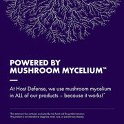 MycoBrew Cocoa, Three 5 oz boxes, Powered by Mushroom Mycelium.