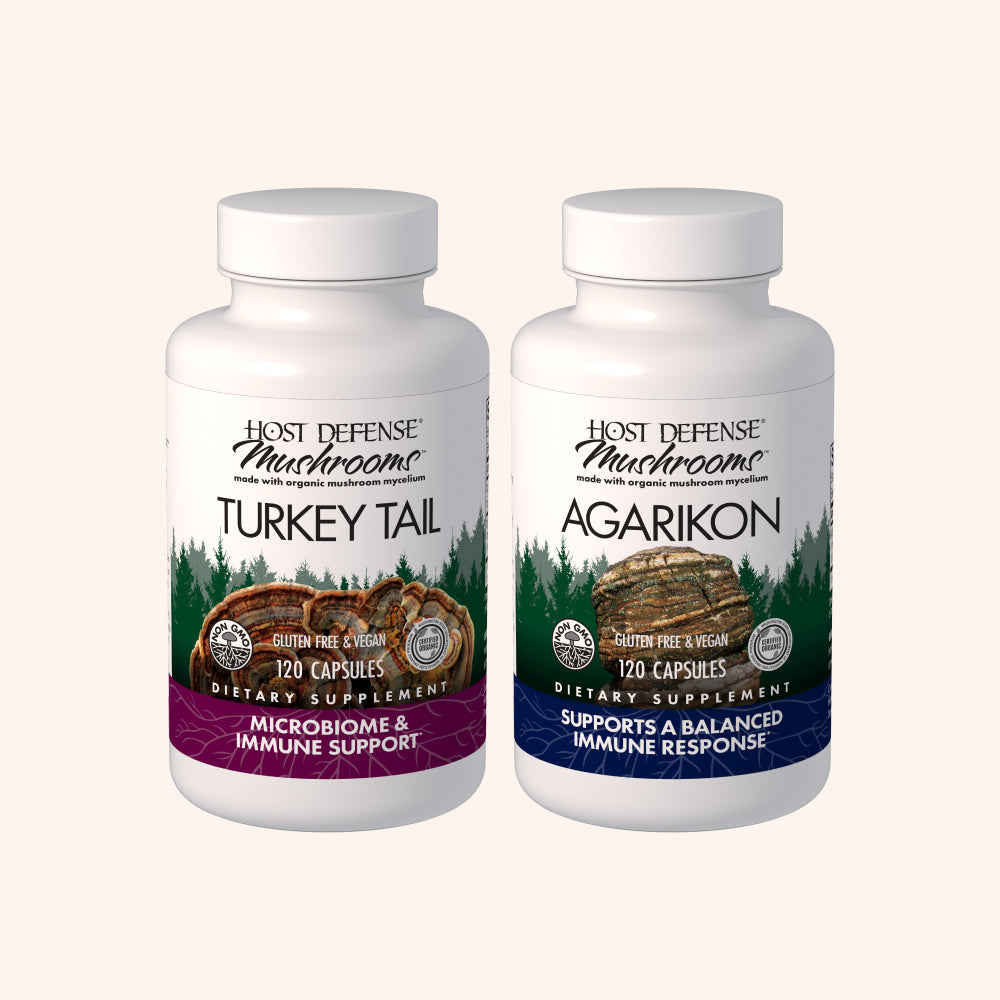 Wildcrafted Agarikon Mushroom Powder Extract 100g Wildcrafted Agarikon Mushroom Powder Extract 100g
