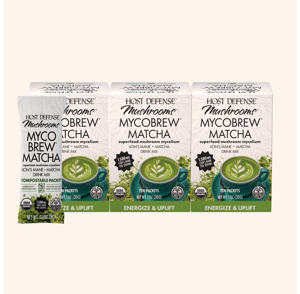 MycoBrew Matcha, Three 1 oz boxes, 30 single-serve packets.